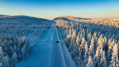 iStock-1441579581.jpg.