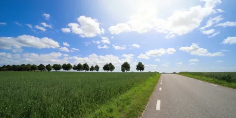 svensk-vag-sommar.jpg.