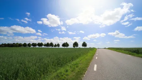 svensk-vag-sommar.jpg.