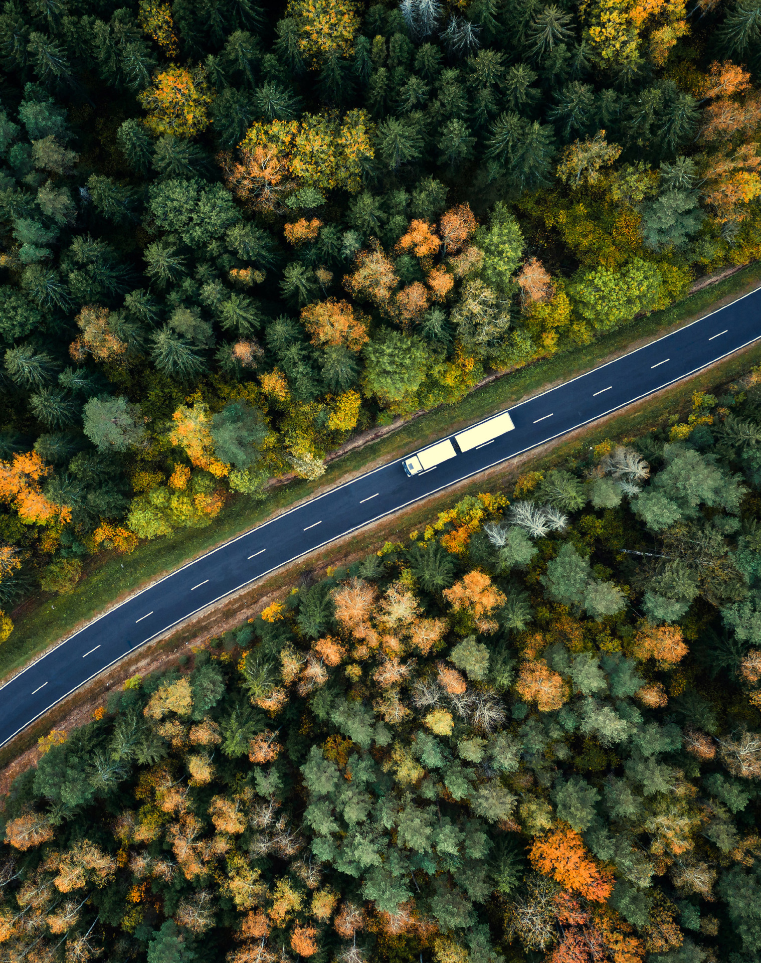 Sid_10_Vägvalet.jpg.