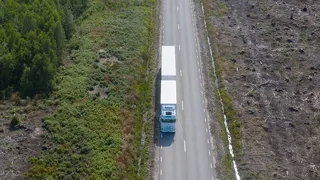 vag2.jpg.