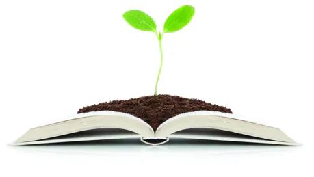 planta_i_bok.jpg.