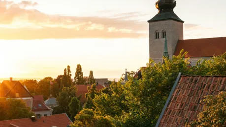 Almedalen.png.