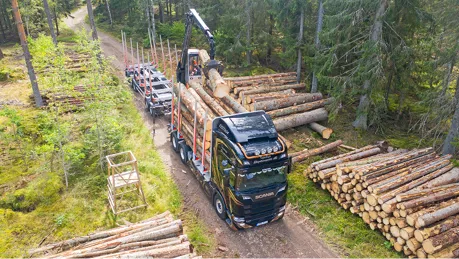 Timmertransport.jpg.