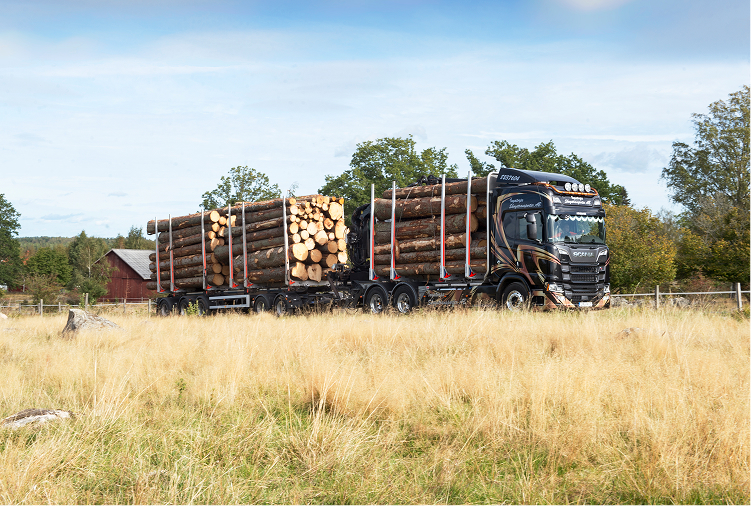 timmertrasnport 2.jpg.