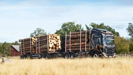 timmertrasnport 2.jpg.