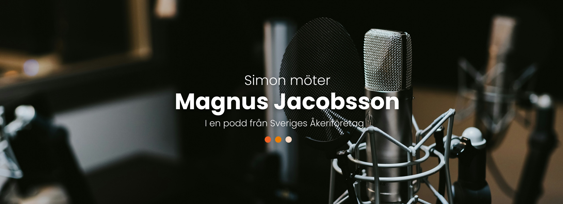 Magnus Jacobsson.png.