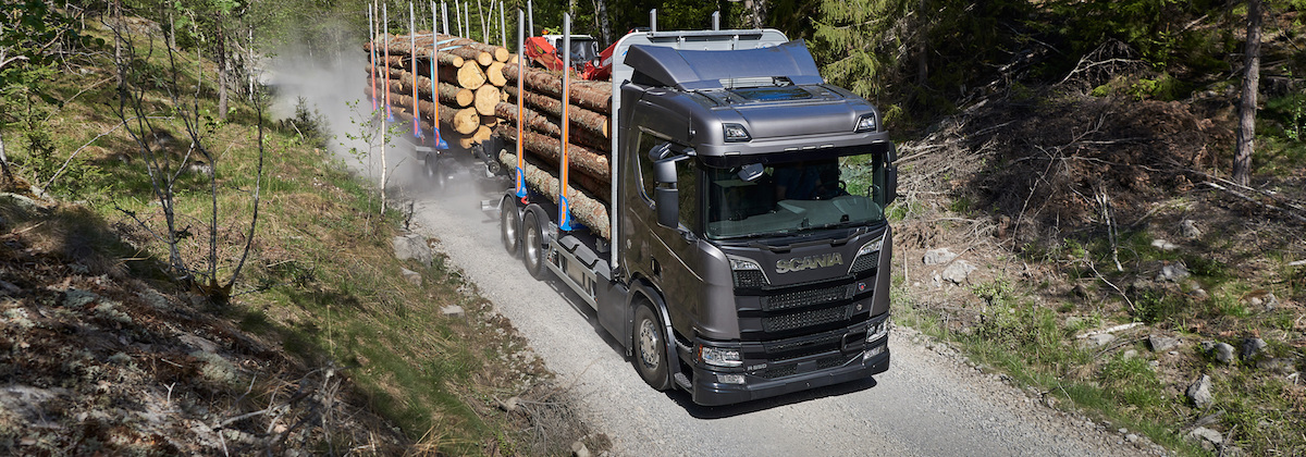 Scania rundvirkesekipage.