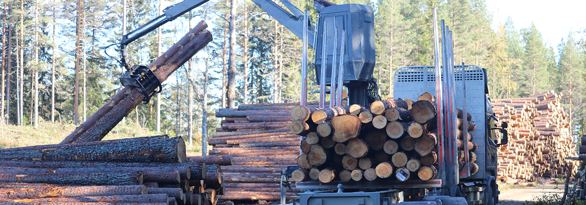 skog kundtjänstavgift