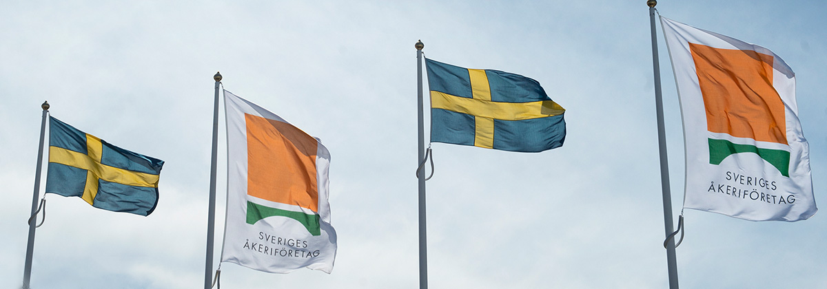 bild SÅ-flagga